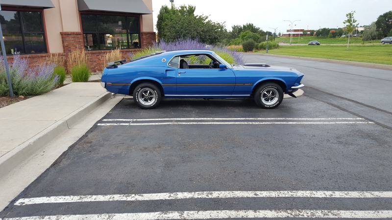 Illustration for article titled Tribute to the father of the Mustang (Pic Heavy)